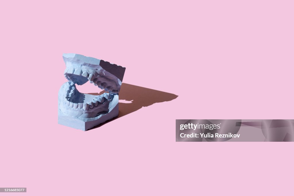 Dental model on the pink background