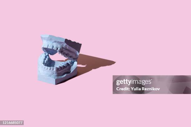 dental model on the pink background - tandfyllning bildbanksfoton och bilder