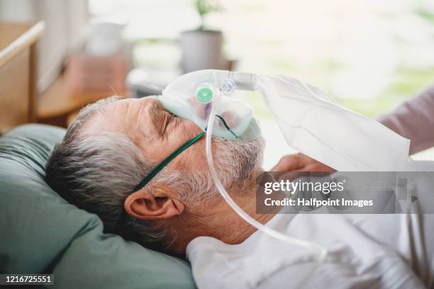 a senior ill man in hospital bed. - respiratory machine stock pictures, royalty-free photos & images