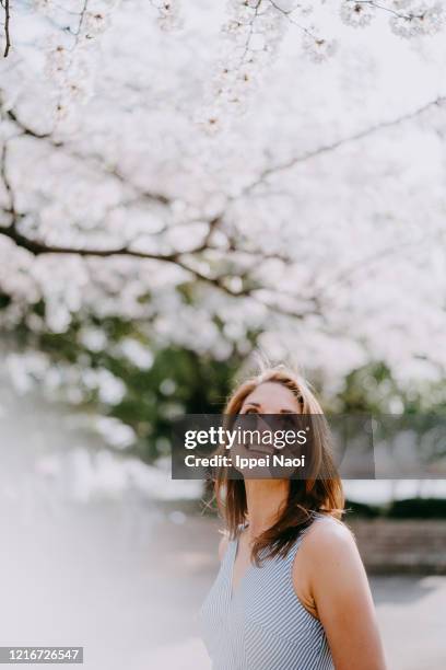 beautiful woman under cherry blossoms, tokyo - cherry blossoms in full bloom in tokyo imagens e fotografias de stock