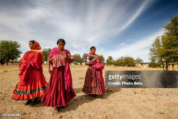 塔拉胡馬拉族的一些婦女走過墨西哥北部一片乾旱的玉米地 - tarahumara 個照片及圖片檔