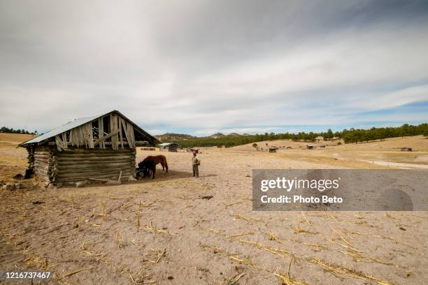 a tarahumara farmer's house surrounded by drought-fractured corn fields in northern mexico - tarahumara stock pictures, royalty-free photos & images
