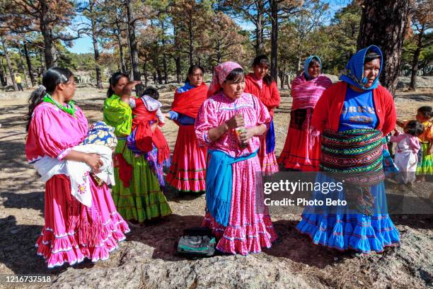 some tarahumara women in traditional clothing near the town of creel in the state of chihuahua in northern mexico - tarahumara stock pictures, royalty-free photos & images