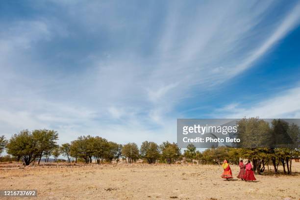 some tarahumara women walk in a dry cornfield due to drought in the state of chihuahua in northern mexico - tarahumara stock pictures, royalty-free photos & images