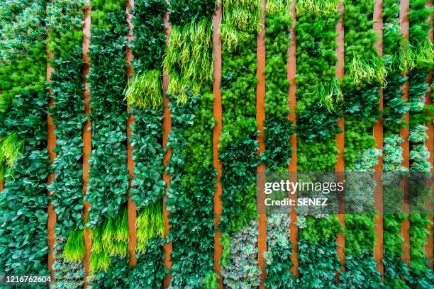 full frame shot of wall decorated with the plants - eco house ストックフォトと画像