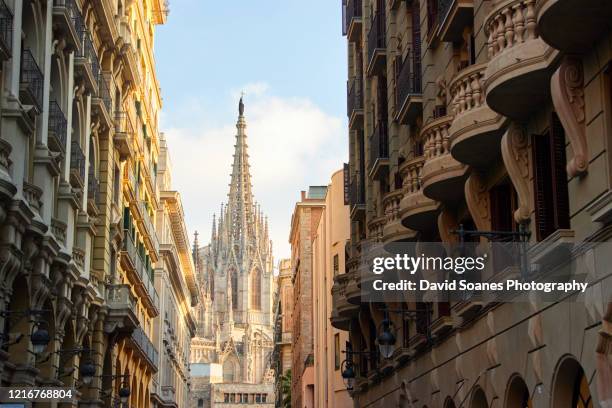 barcelona cathedral in barcelona, spain - gotisches viertel barcelona stock-fotos und bilder