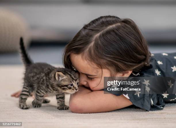 niña y sus gatitos. - adopción fotografías e imágenes de stock