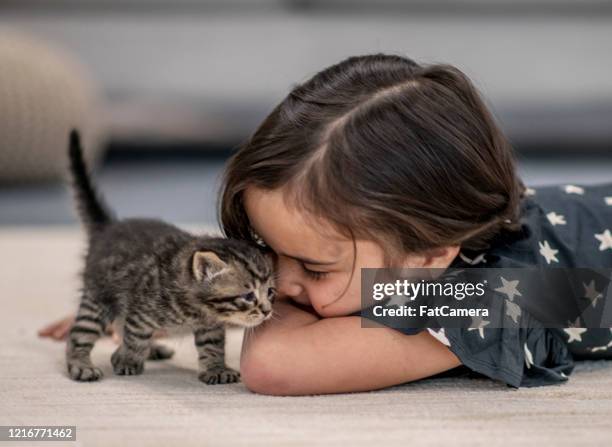 little girl and her kittens. - pet adoption stock pictures, royalty-free photos & images