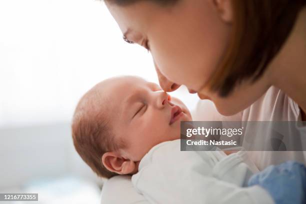 beautiful mother with her baby touching noses - girl hold nose stock pictures, royalty-free photos & images