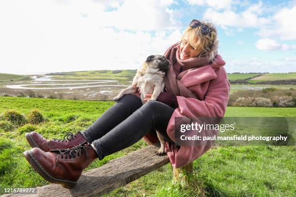 blond lady and pug - woman dog bench stock pictures, royalty-free photos & images