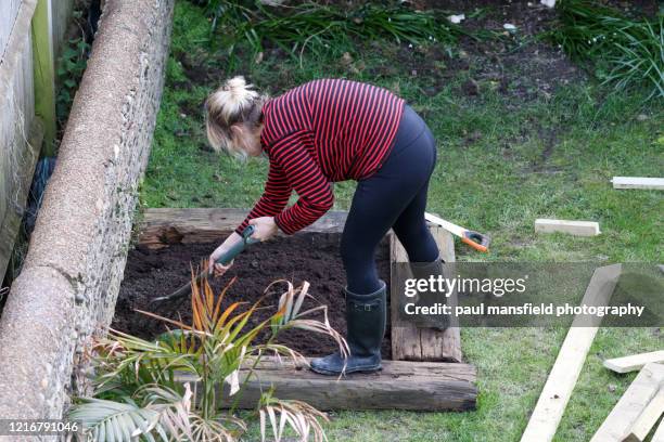 mature lady tending to a vegetable plot - older woman bending over stock pictures, royalty-free photos & images