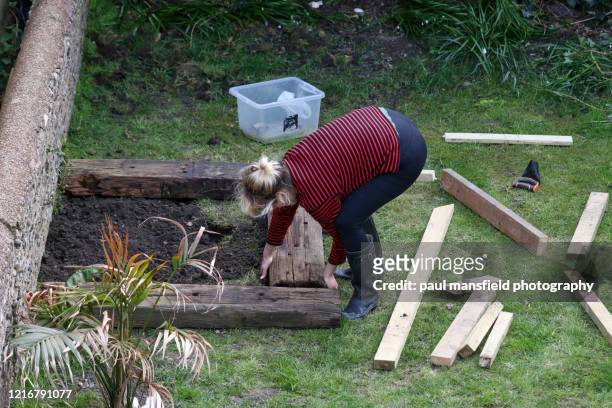mature lady tending to a vegetable plot - older woman bending over stock pictures, royalty-free photos & images