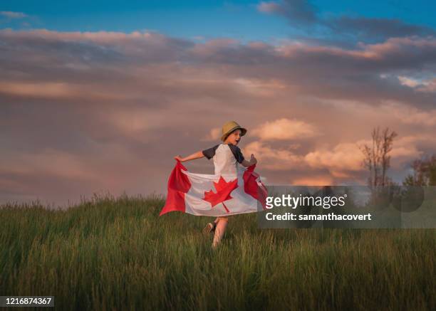 boy running through a field holding a canadian flag, bedford, halifax, nova scotia, canada - flag of nova scotia stock pictures, royalty-free photos & images