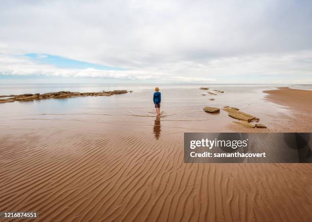 boy walking along beach, bedford, halifax, nova scotia, canada - halifax photos et images de collection