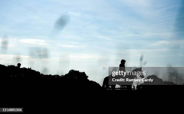 Kildare , Ireland - 2 June 2020; A horse makes its way to the gallops during a feature on the yard of race horse trainer and former Kildare GAA...