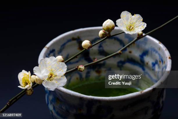 frühlingspflaumenblüten, matcha und teeschalen mit wabisabi-atmosphäre - tea ceremony stock-fotos und bilder