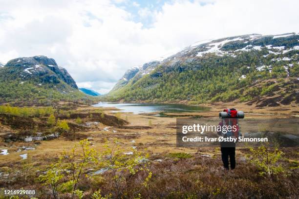 kvinna vandring i norska bergen - norway bildbanksfoton och bilder