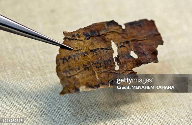 Conservator of the Israel Antiquities Authority shows fragments of the Dead Sea Scrolls at their laboratory in Jerusalem on June 2, 2020. - DNA...