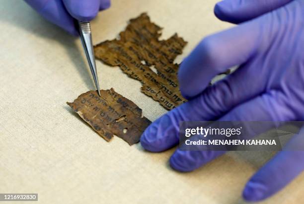 Conservator of the Israel Antiquities Authority shows fragments of the Dead Sea Scrolls at their laboratory in Jerusalem on June 2, 2020. - DNA...