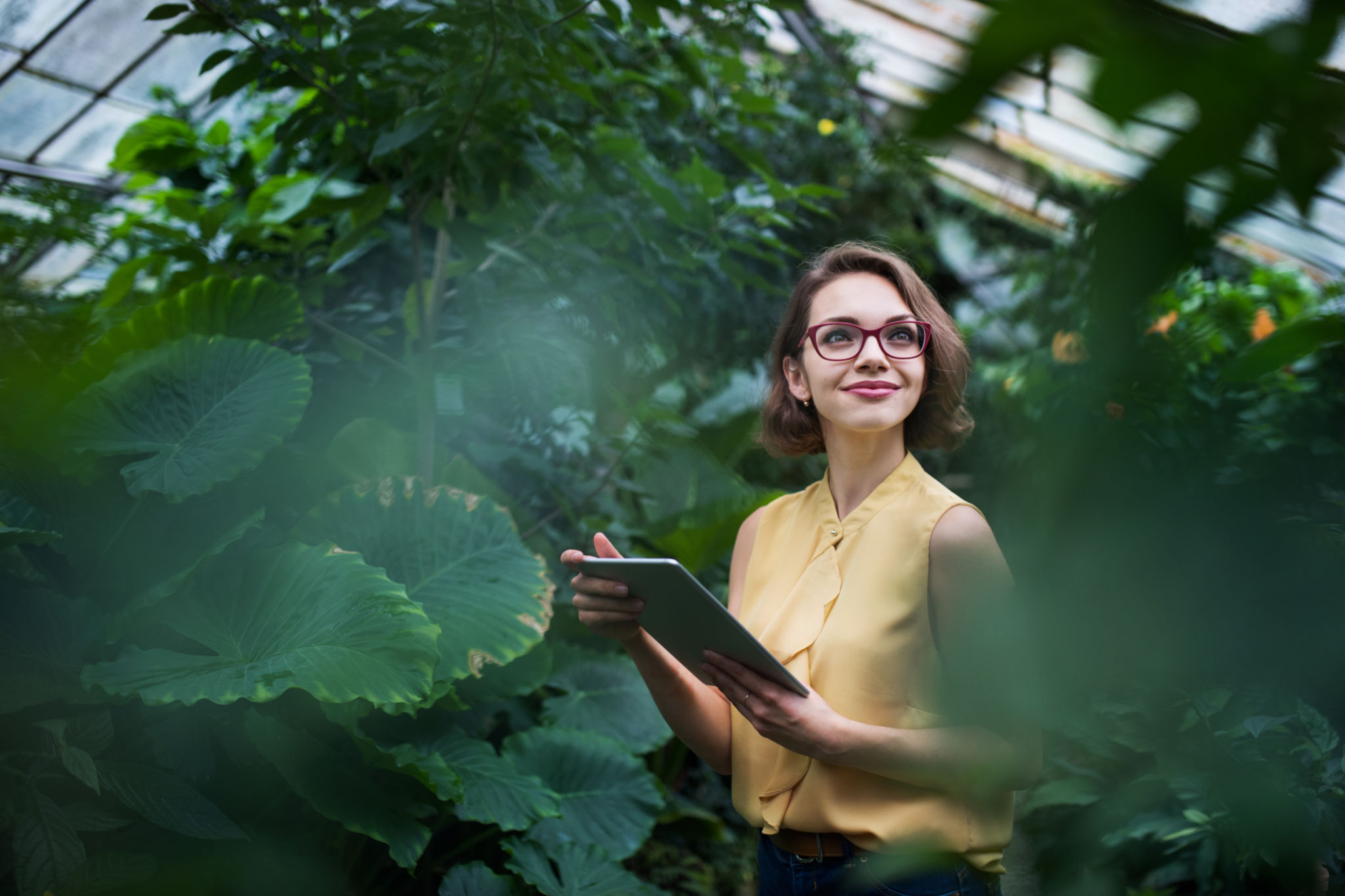 green job opportunities
