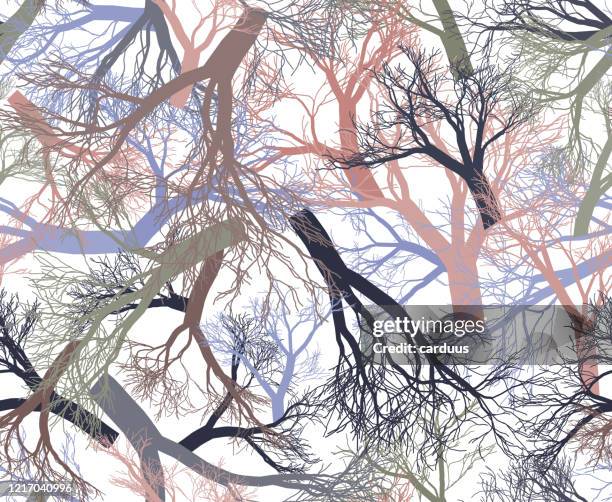 Seamless Multicolored Trees Pattern High-Res Vector Graphic - Getty Images