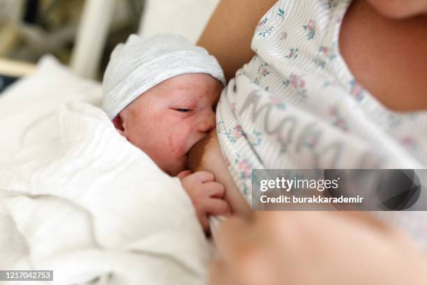 mãe amamentando bebê recém-nascido em enfermaria hospitalar, primeira amamentação - prematuro - fotografias e filmes do acervo