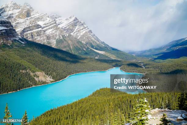 peyto lake, banff national park, alberta, canada - peyto lake stock pictures, royalty-free photos & images