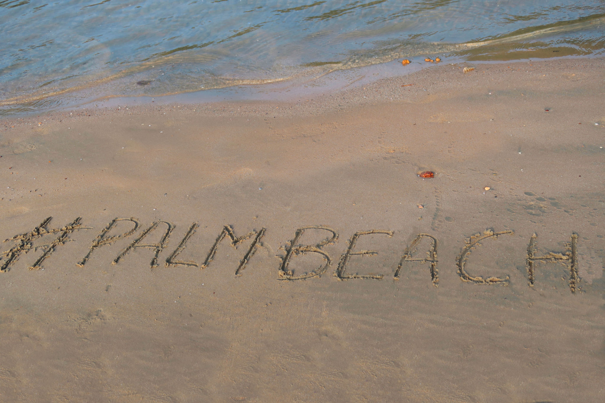 palm beach social media