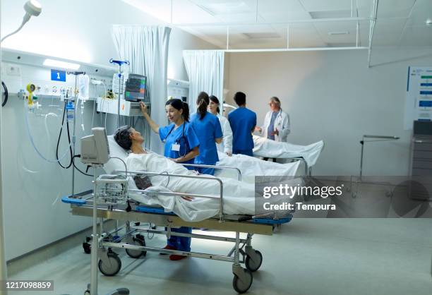 wide shot of the pre-operation ward with two patients, nurses and physicians. - icu ward stock pictures, royalty-free photos & images