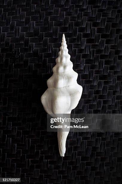 spindle seashell on woven background - spindle seashell stock pictures, royalty-free photos & images