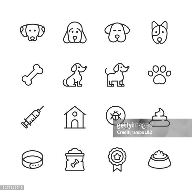 hund linie icons. bearbeitbarer strich. pixel perfekt. für mobile und web. enthält solche symbole wie hund, welpen, zwinger, haustier, hundeknochen, spritze, abzeichen, hundepfote, tierarzt, pet bowl, hundefutter. - hund stock-grafiken, -clipart, -cartoons und -symbole