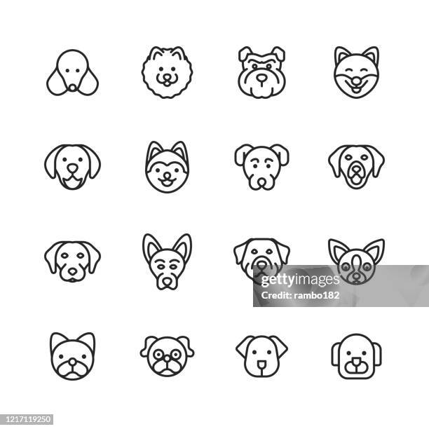 dog line icons. editable stroke. pixel perfect. for mobile and web. contains such icons as dog, puppy, pet, domestic animal, husky, labrador, pomeranian, pug, golden retriever, german shepherd, bulldog. - golden retriever stock illustrations