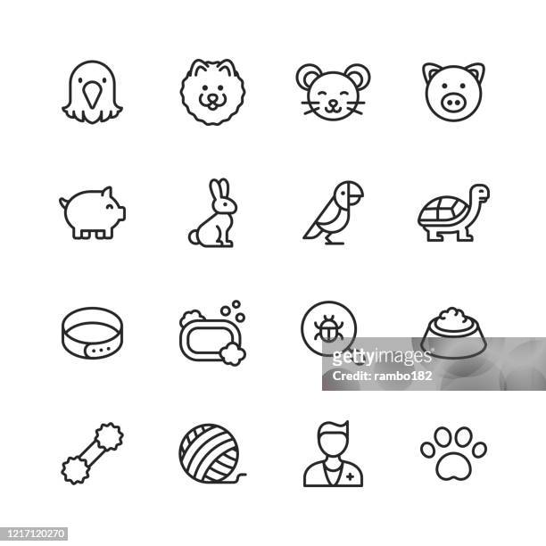 pets line icons. editable stroke. pixel perfect. for mobile and web. contains such icons as bird, dog, mouse, pig, parrot, tortoise, pet collar, grooming, pet bowl, veterinarian, animal paw. - freshwater turtle stock illustrations