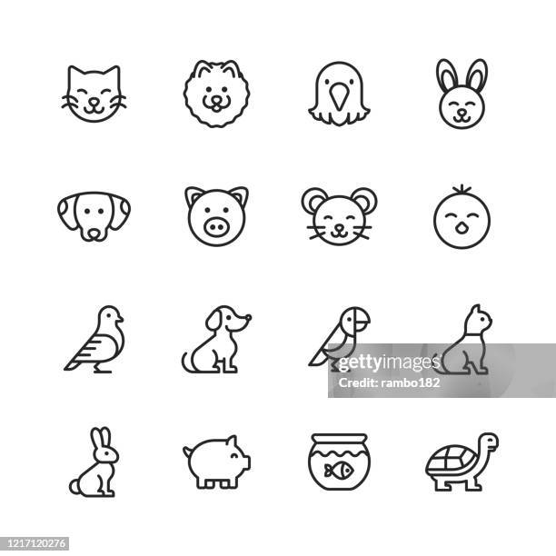 pets line icons. editable stroke. pixel perfect. for mobile and web. contains such icons as cat, kitten, dog, puppy, eagle, bird, bunny, rabbit, mouse, chick, golden fish, pig, tortoise. - dog collar stock illustrations