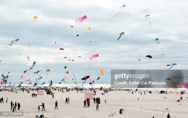 beach at berck in pas-de-calais department of france - hauts de france fotografías e imágenes de stock