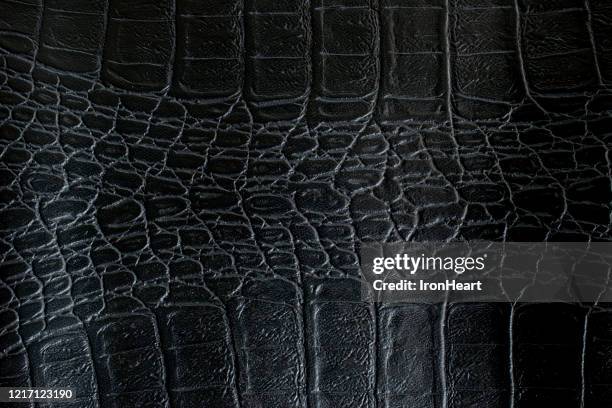 black genuine leather of crocodile skin leather \ - crocodile pattern stock pictures, royalty-free photos & images