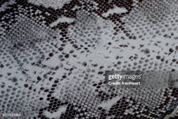 Python Snake Skin High Resolution 85 Rough Scale Python Stock Photos, High-Res Pictures, and Images ...