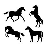 Set of silhouette of horses. Isolated black silhouette of galloping, jumping running, trotting, rearing horse on white background. Side view.