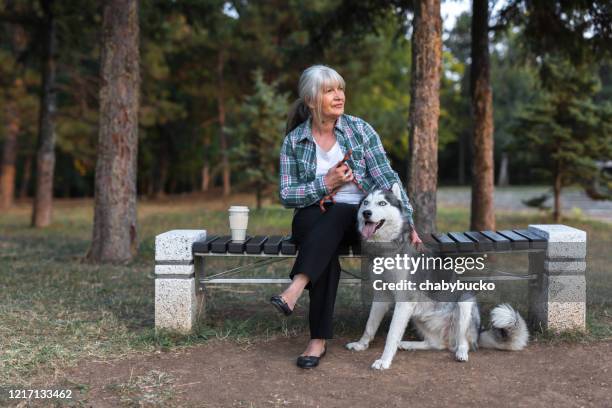 mature woman sitting on bench with husky dog in public park - woman dog bench stock pictures, royalty-free photos & images