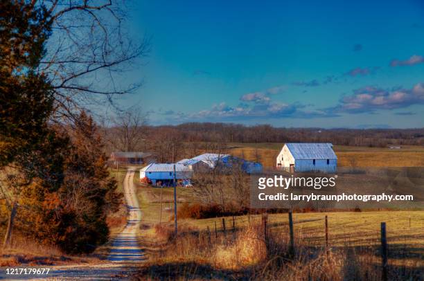 winter farm in perry county - missouri landscape stock pictures, royalty-free photos & images