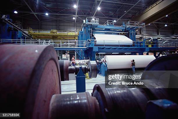 busin028 paper in a paper mill, wisconsin - paper mill stock pictures, royalty-free photos & images