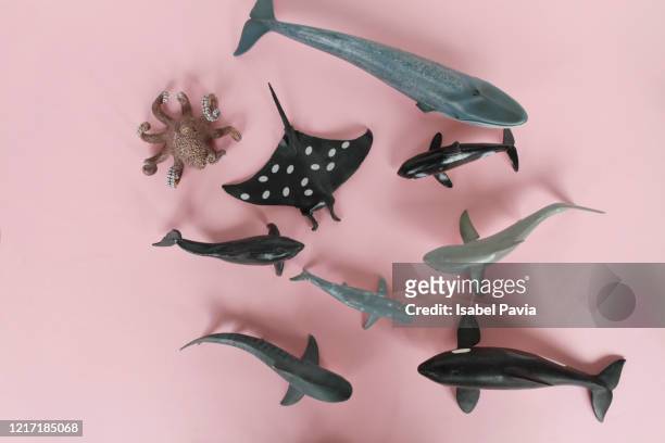 toy animals. flat lay - toy animal stock pictures, royalty-free photos & images