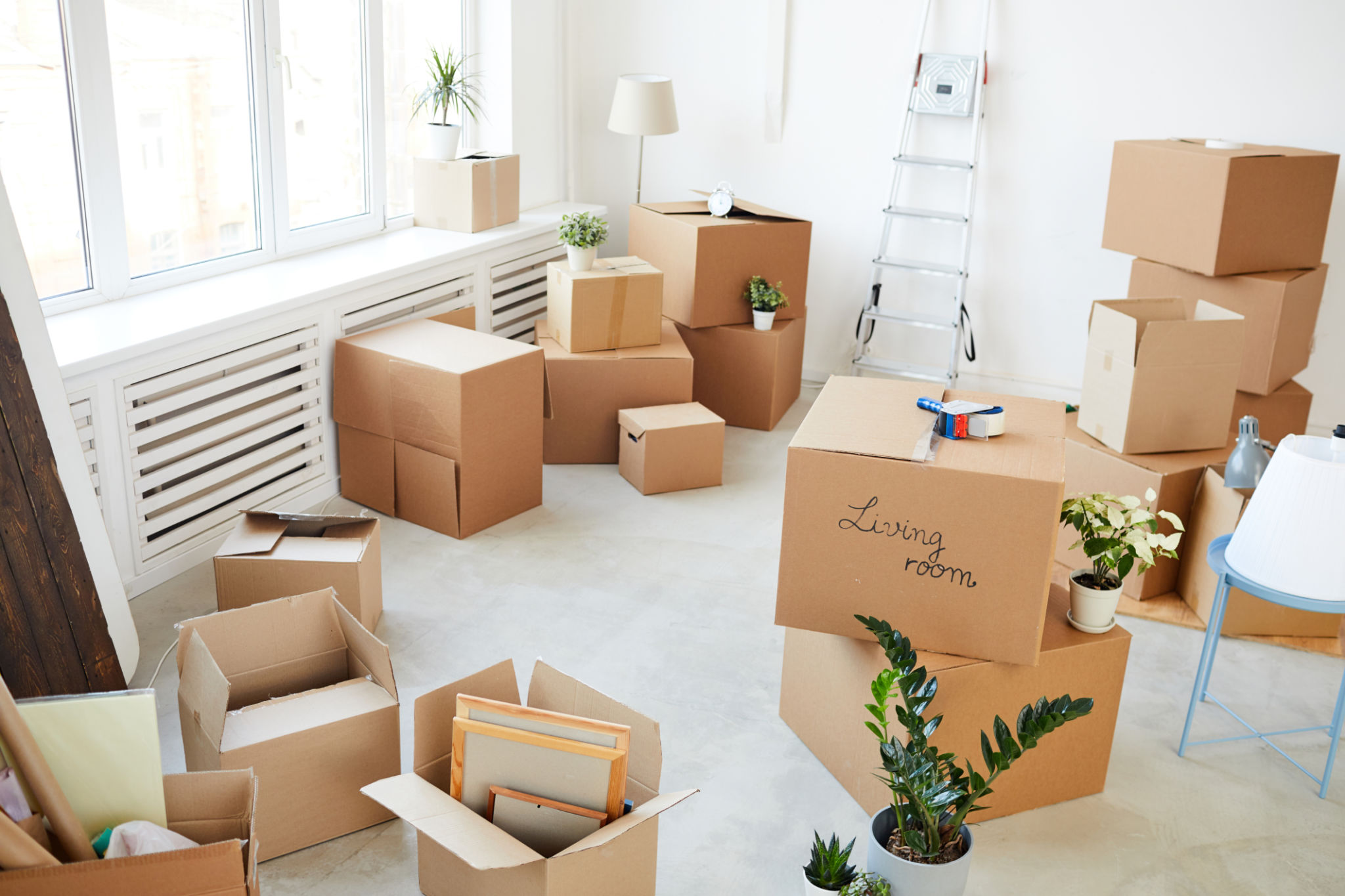 declutter services