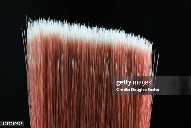 bristles on a paint brush - bristle stock pictures, royalty-free photos & images