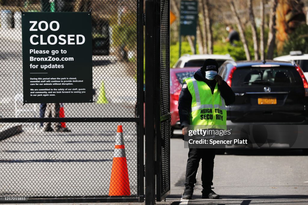 Tiger At Bronx Zoo Tests Positive For Coronavirus