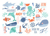Sea background - cute sea and ocean animals