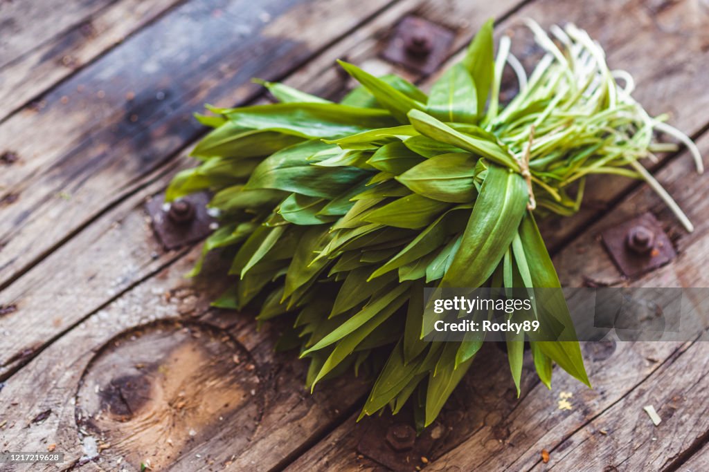 Fresh Wild Garlic