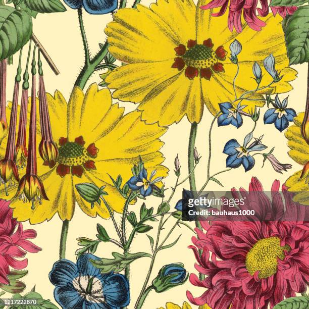 victorian botanical, hand-colored, seamless repeating pattern. realistic blooming isolated flowers vintage fabric background. beautiful cottage garden and wildflowers. wallpaper baroque. drawing engraving. victorian illustration. - botany stock illustrations