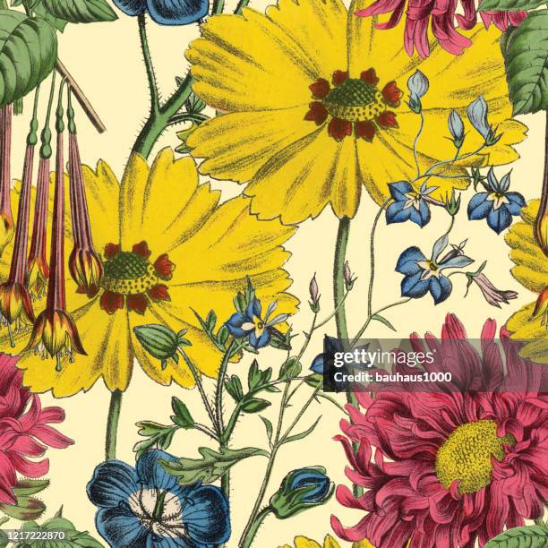 victorian botanical, hand-colored, seamless repeating pattern. realistic blooming isolated flowers vintage fabric background. beautiful cottage garden and wildflowers. wallpaper baroque. drawing engraving. victorian illustration. - the old pattern stock illustrations