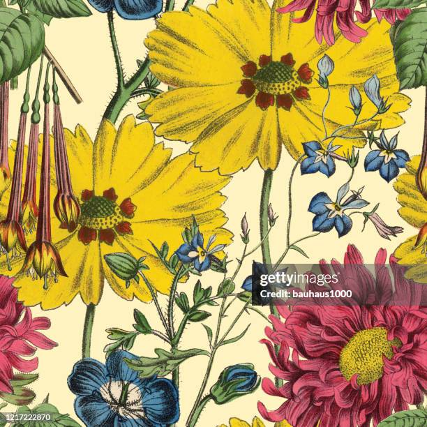 victorian botanical, hand-colored, seamless repeating pattern. realistic blooming isolated flowers vintage fabric background. beautiful cottage garden and wildflowers. wallpaper baroque. drawing engraving. victorian illustration. - formal garden stock illustrations